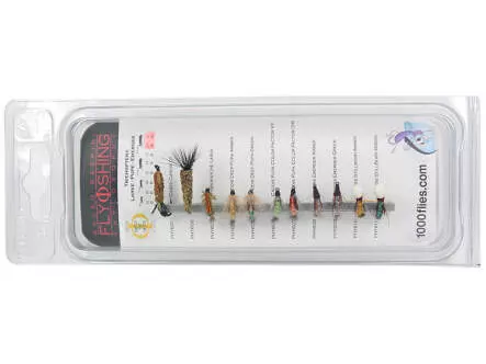 Set Trichoptera (Larve - Pupe - Emerger) - L - 11 Fliegen