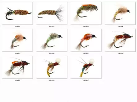Set Trichoptera (Larve - Pupe - Emerger) - L - 11 Fliegen