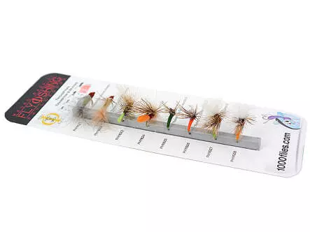 Set Trichoptera (Transition & Skating) - M - 8 Fliegen