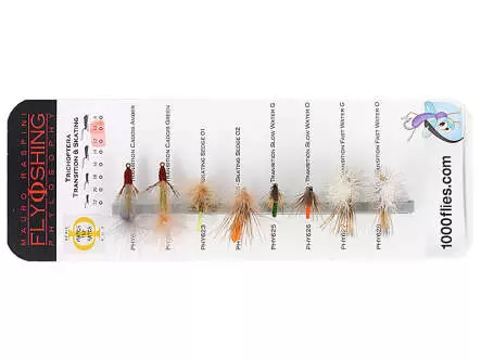 Set Trichoptera (Transition & Skating) - M - 8 Fliegen