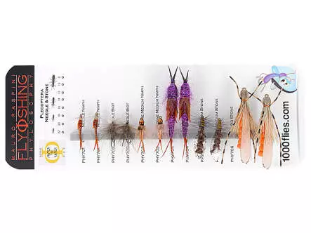 Set Plecoptera (Needle & Stone) - XXL - 12 Fliegen