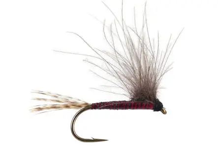 CDC BWO - Red