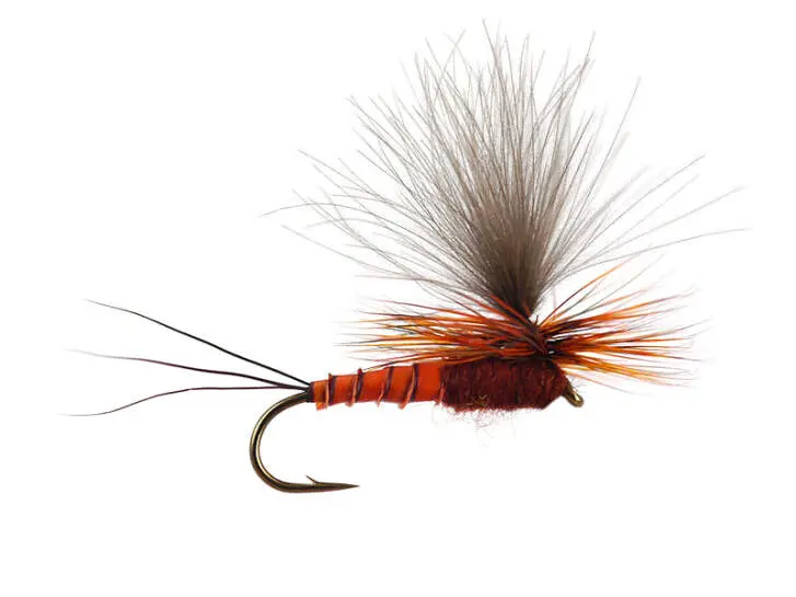 CDC Parachute (Olive Upright) - Brown Reddish