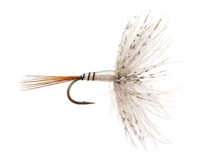 CDC Devaux 699