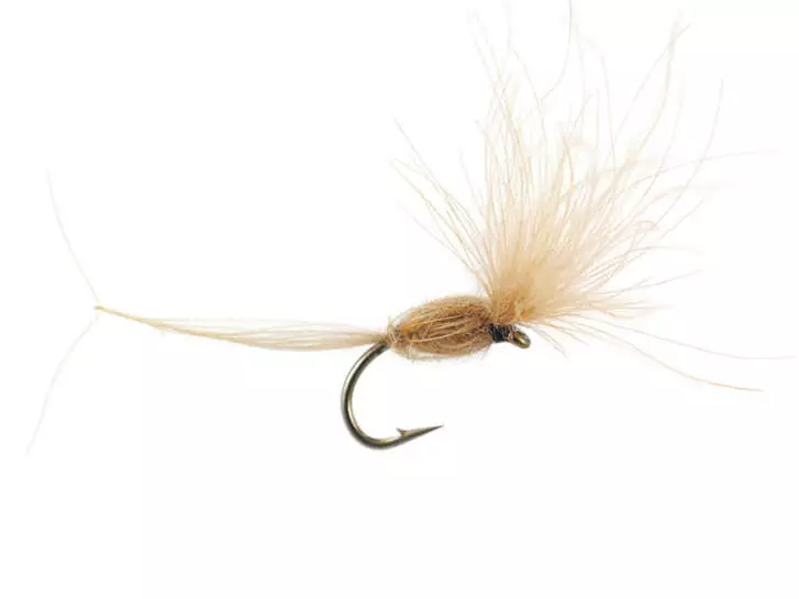 CDC Dry Wonder - Tan