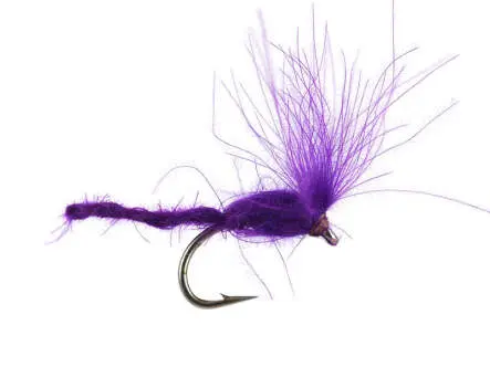 CDC Nyakinama - Violet