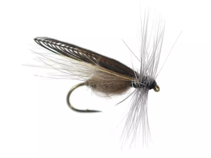 CDC Stone Fly