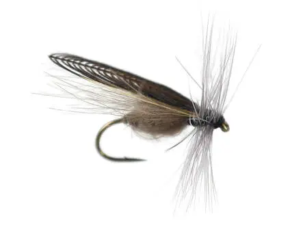 CDC Stone Fly
