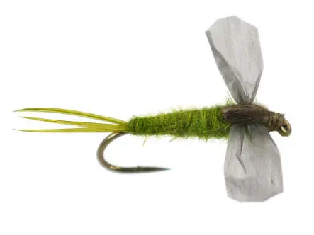 CDC Cripple - Medium Olive 16