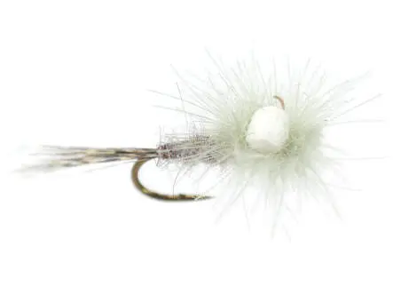 CDC Para Emerger 14