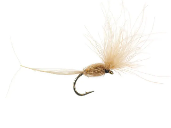 CDC Dry Wonder - Tan 18