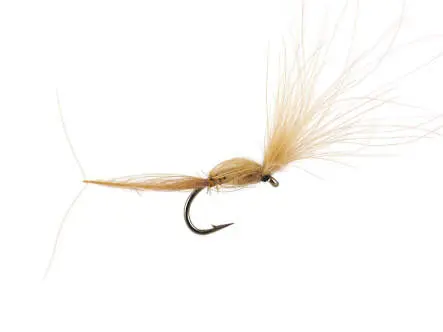 CDC Dry Wonder - Dark Tan 16
