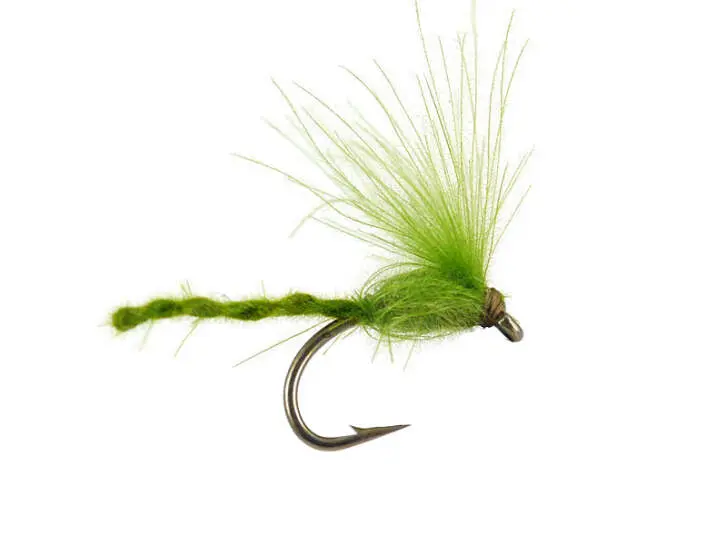 CDC Nyakinama - Medium Olive 16