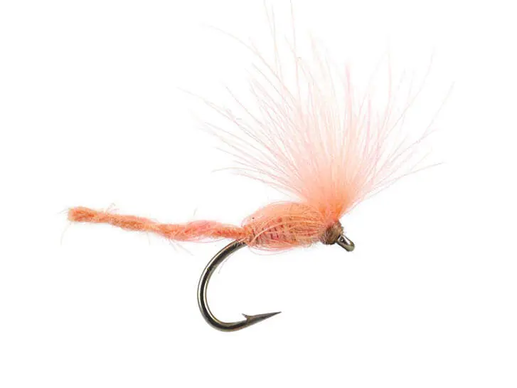 CDC Nyakinama - Salmon 16