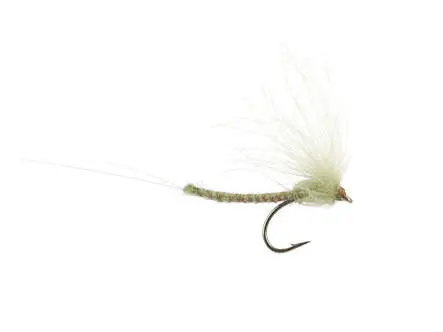 CDC Long Extended Body - Tan 16