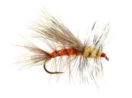 Stimulator Orange Yellow 10