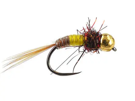 TG Little Bicolour Favourite BL 14