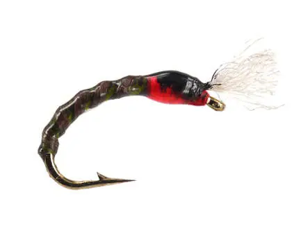 Pedros Dark Olive Buzzer