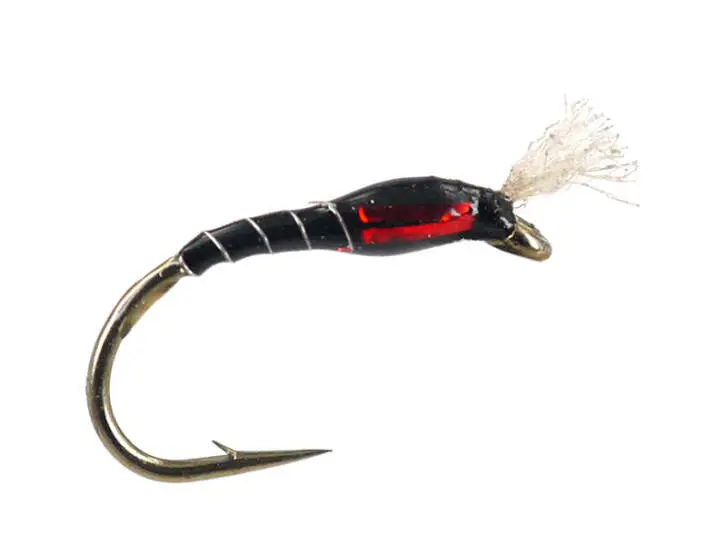 Highlander Buzzer Black Red