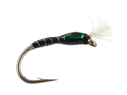 Highlander Buzzer Black Green