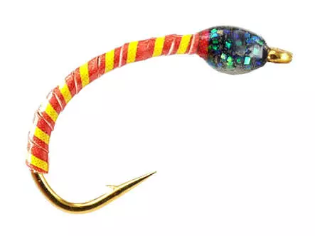 Renken Hegene SYNTQUILL ALL ORANGE