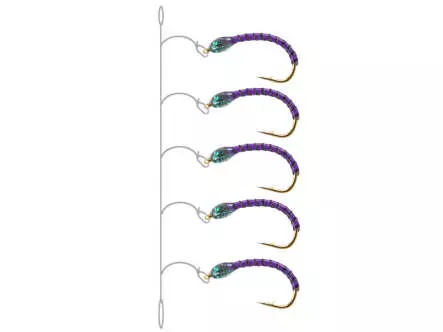 Renken Hegene SYNTQUILL ALL PURPLE