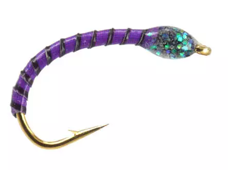 Renken Hegene SYNTQUILL ALL PURPLE