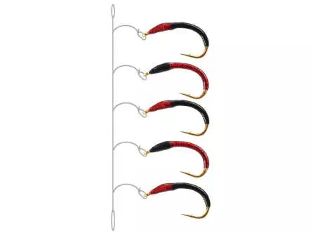 Renken Hegene BLACK AND RED THORAX