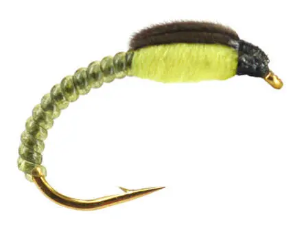 Renken Hegene THORAX COLLECTION