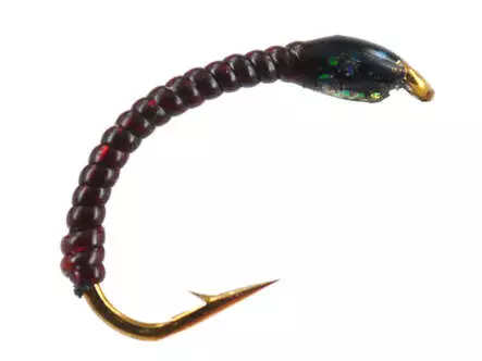 Renken Hegene ALL BLACK GLITTER