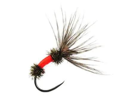 Sakasa Kebari Red Coachman 10