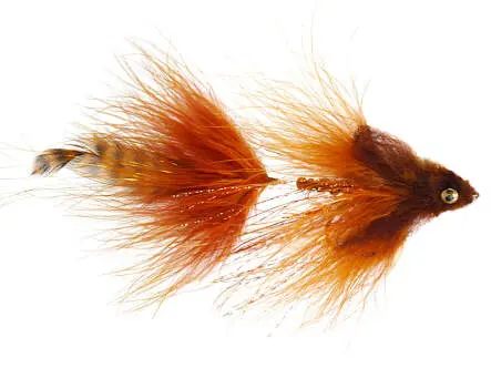 Jointed Sculpin Brown 2