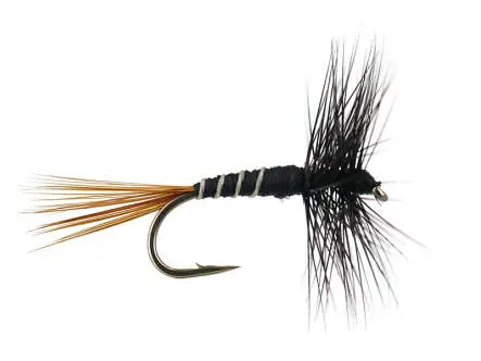 French PL Black Ribbed 14
