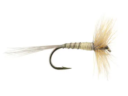 French PL Dark White Ribbed 16