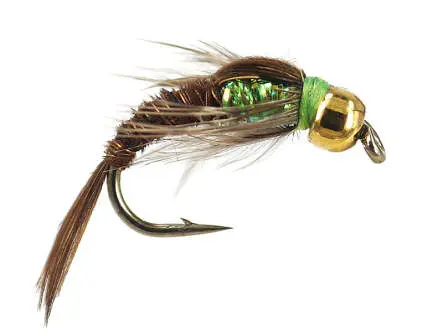 Ales TG Verdina Pheasant 14