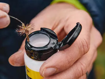 BLUE RIBBON loon outdoors - Pulver