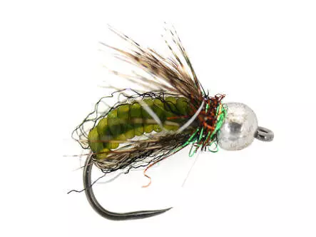 Green Comp. Caddis Naturfil Pupa TG BL