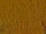 HARE DUBBING hotfly - 1 g - cinnamon