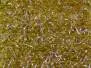 BRILL UV textreme - standard - 300 cm - olive
