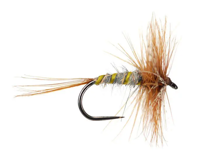 March Brown Classic BL 18