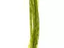 NATURFIL hotfly - 150 cm - Ø 0,6 mm - olive