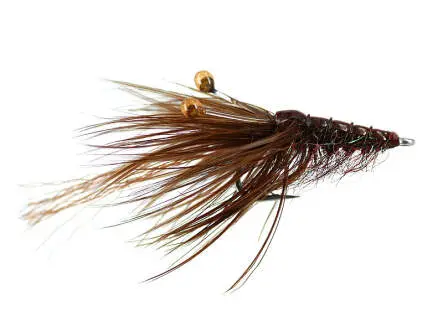 MW Good Year Shrimp Dark 4