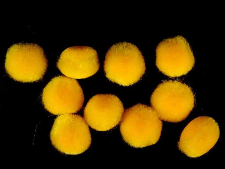 FISH EGGS hotfly - 10 pc. - 10 mm - yellow