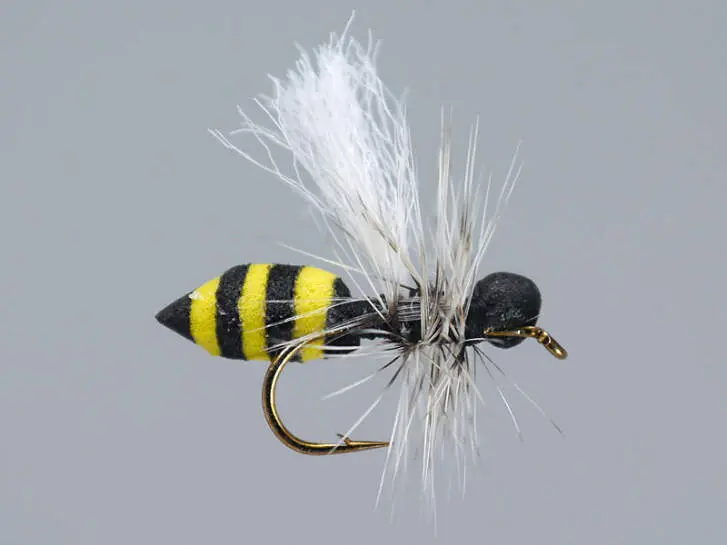 Medium Wasp HF 12