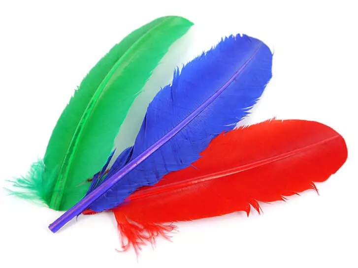 TRUTHAHNFEDER (TURKEY FEATHER) hotfly - 1 Stk.