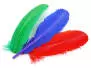 TRUTHAHNFEDER (TURKEY FEATHER) hotfly - 1 Stk.