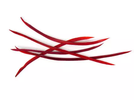 TRUTHAHNBIOTS (TURKEY BIOTS) XL-PACK - 5 Stk. - ca. 15 cm
