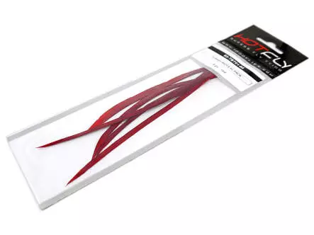 TRUTHAHNBIOTS (TURKEY BIOTS) XL-PACK - 5 Stk. - ca. 15 cm