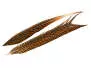 STOSSFEDER GOLDFASAN 1° WAHL hotfly - 1 Stk. - ca. 60 cm