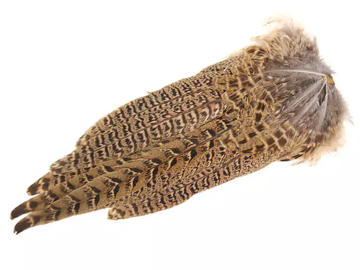 FASANENSTOSS WEIBCHEN KOMPLETT hotfly